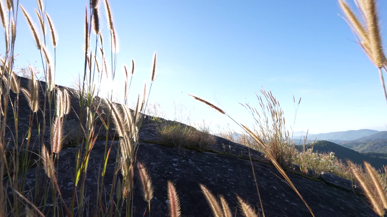 女人跑到山顶，越野跑视频素材