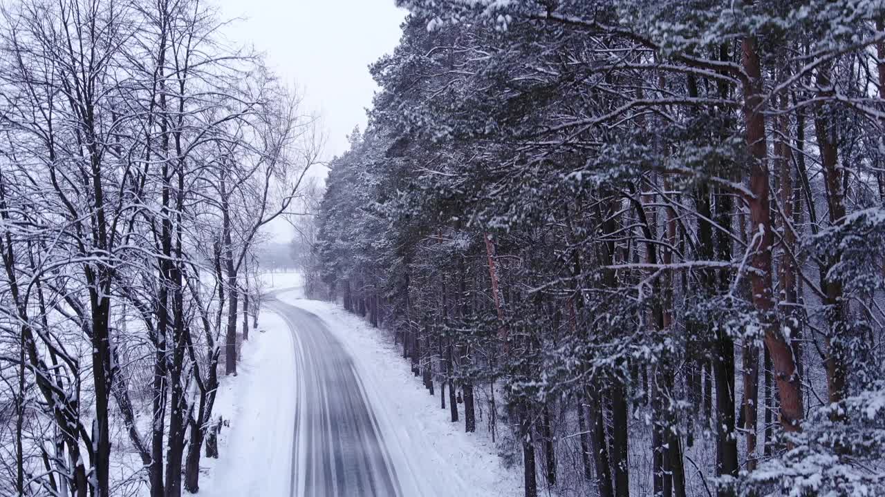 新娘们走在冬日的路上穿过白雪覆盖的森林。白雪覆盖的森林道路视频素材