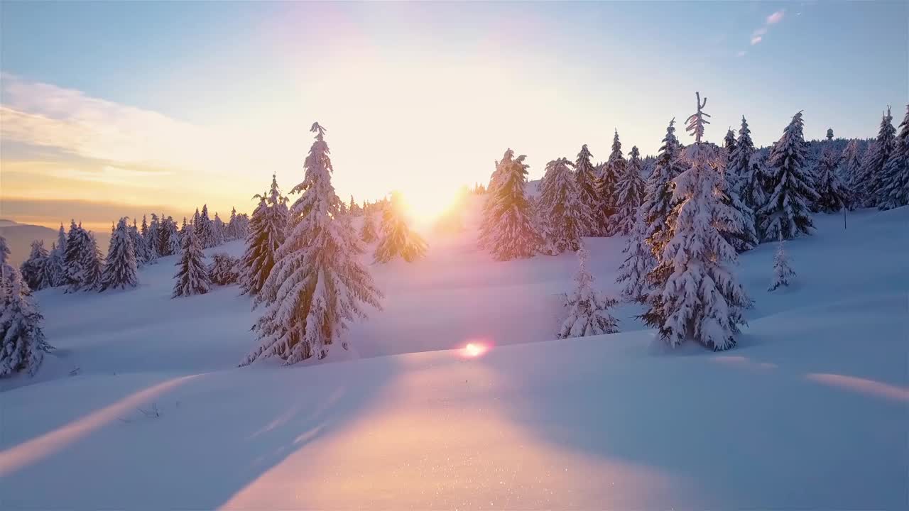 蓝色的冬天森林与雪树，在野外冰冻的自然景观傍晚日落的色彩斑斓的光视频素材