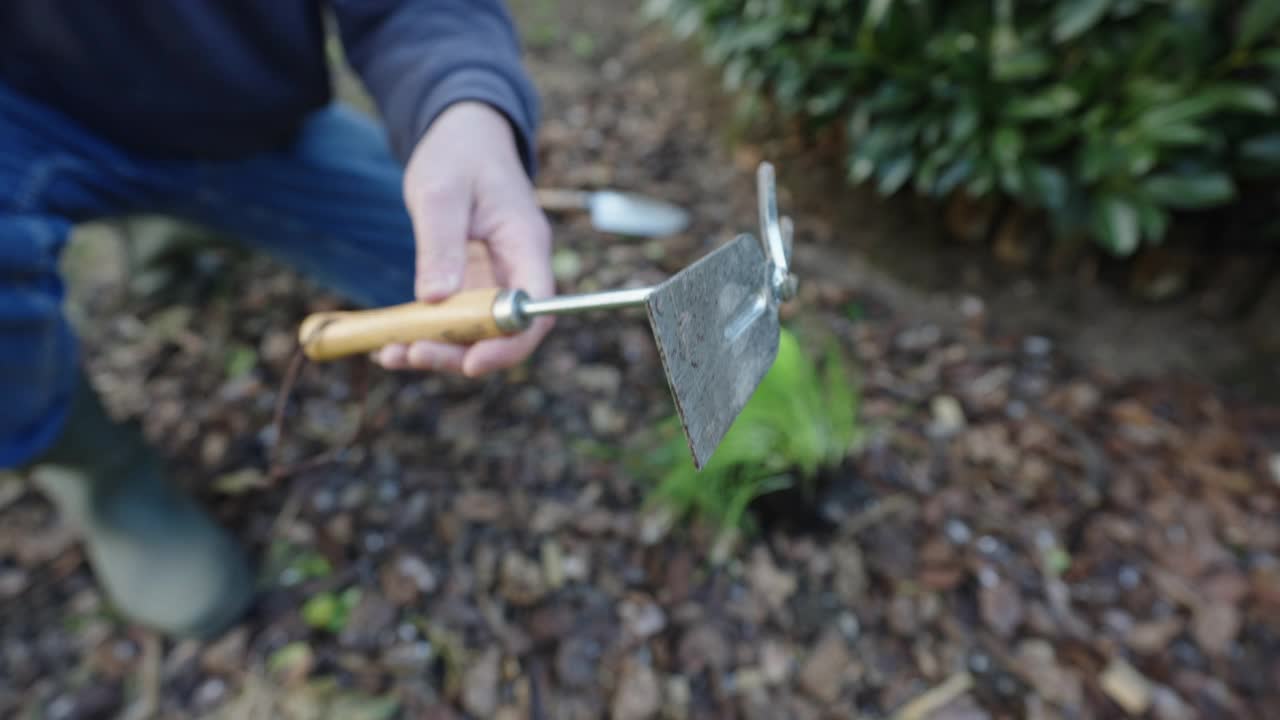 种植韭菜视频素材