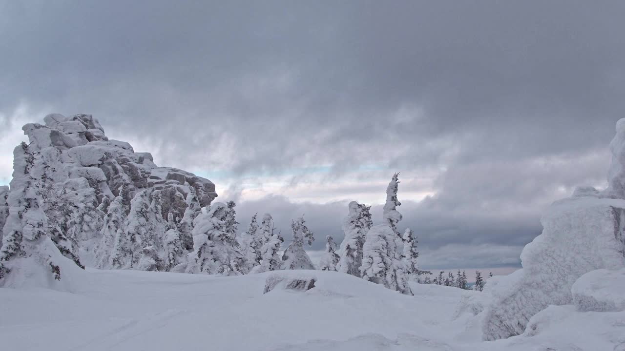 雪云漂浮在冬天的森林里视频素材