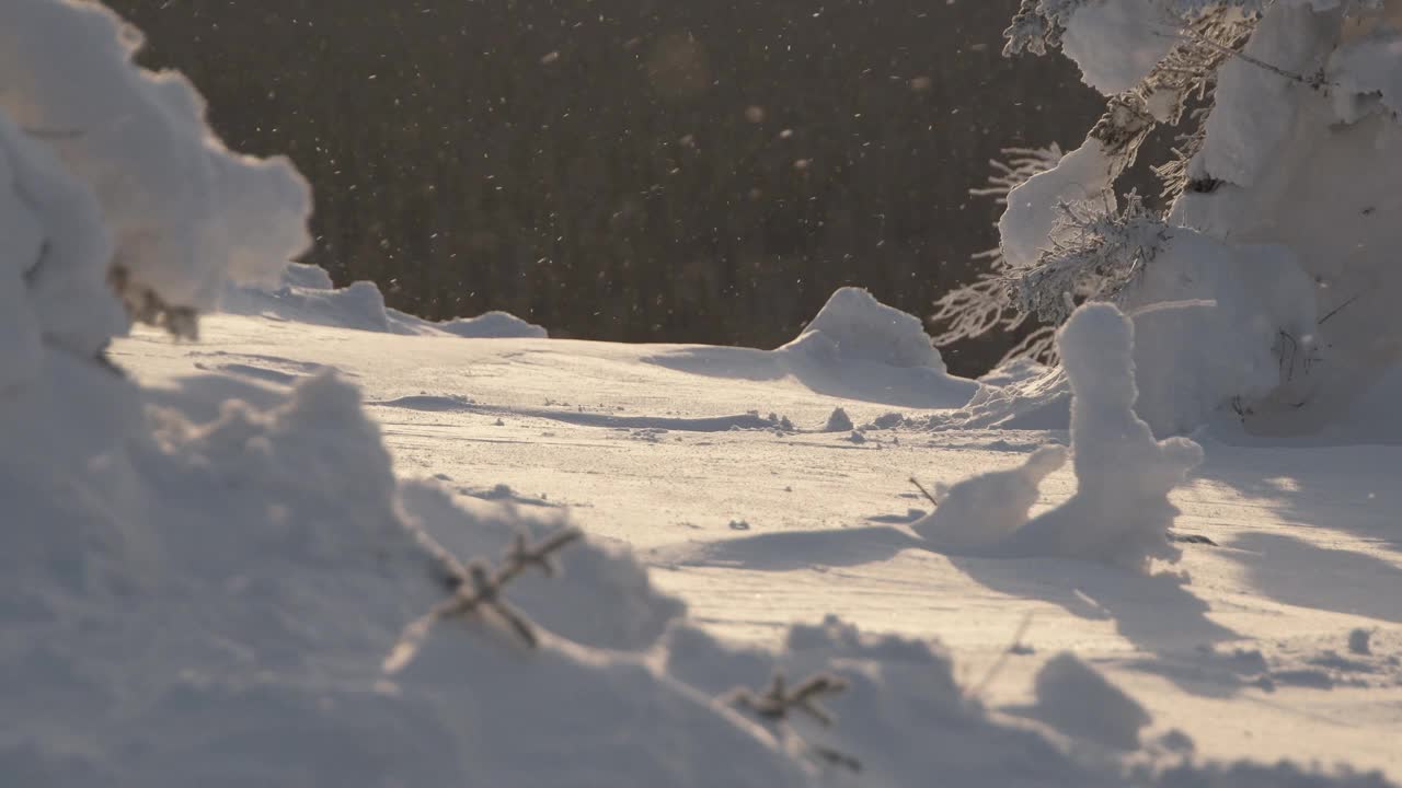 山坡上的冬季降雪视频素材