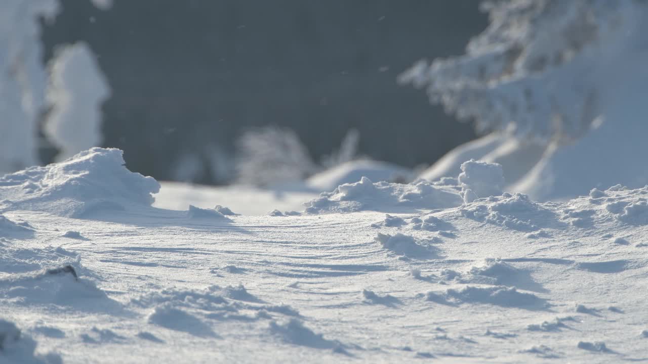 雪花飞过冰冻的地面视频素材