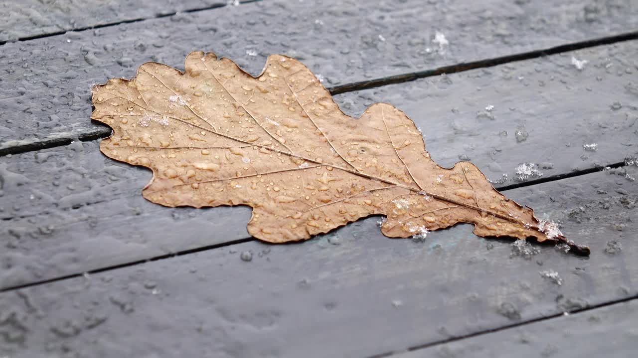 雪花落在木桌上的一片橡树叶上视频素材