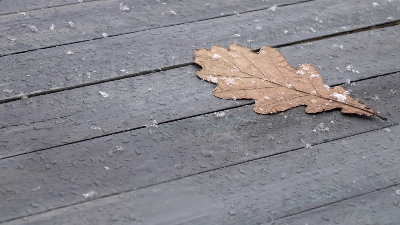 雪花落在木桌上的一片橡树叶上视频素材