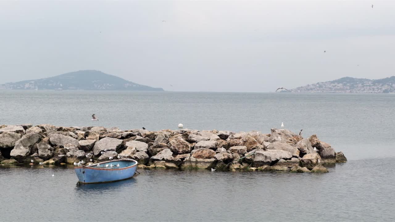 海鸥在海上美丽的蓝色皮划艇上休息视频素材