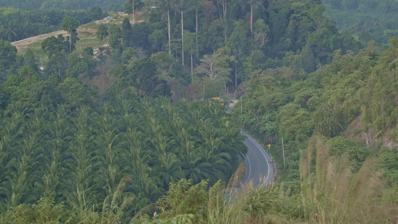 汽车穿过山谷中弯弯曲曲的道路。视频素材