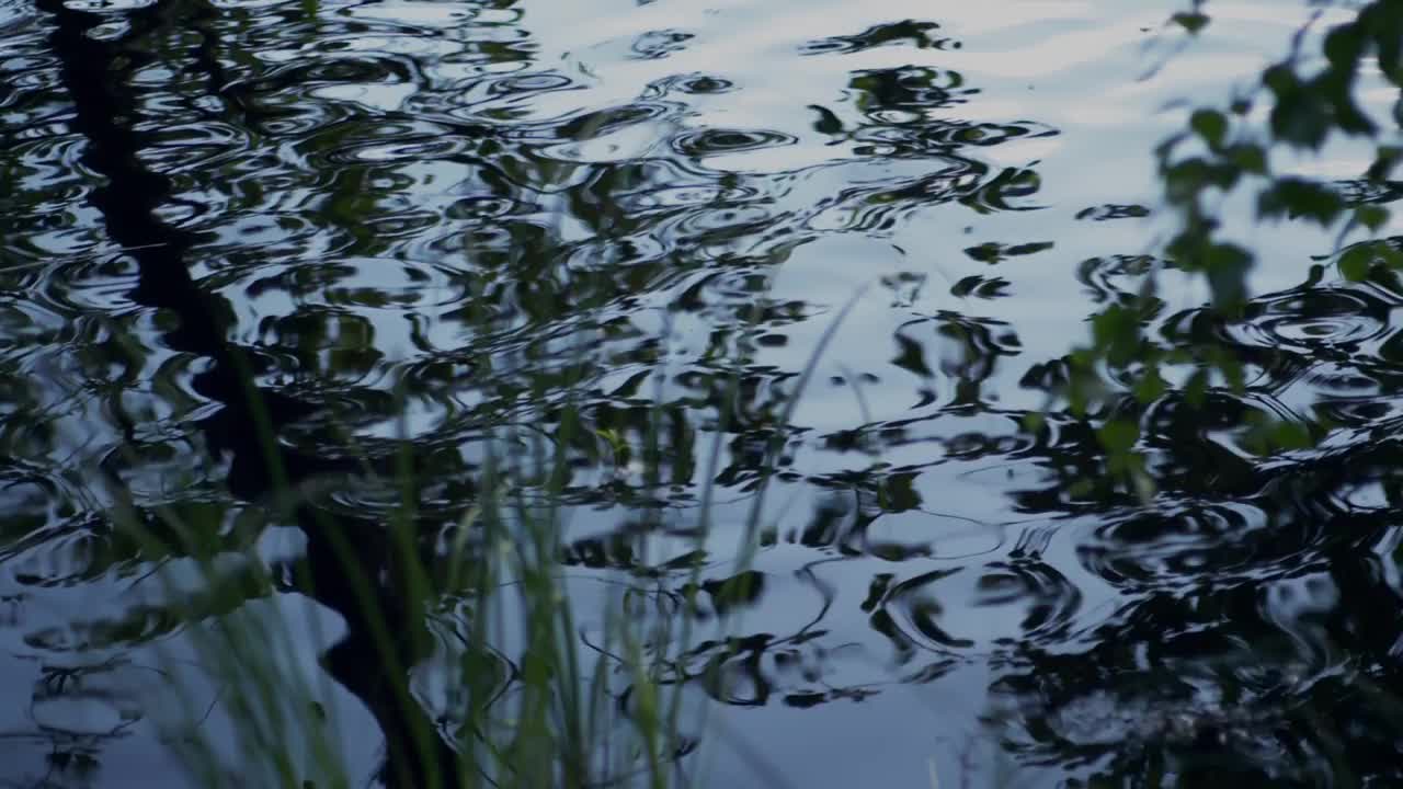 阳光照在水面上。自然背景与阳光在水面上闪烁。永无尽头的湖面景色和阳光的炙热。湖面反射阳光的纹理视频下载