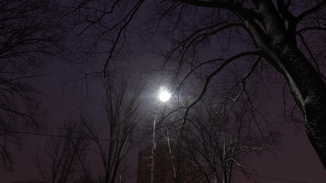 落在路灯背景上的雪花视频素材