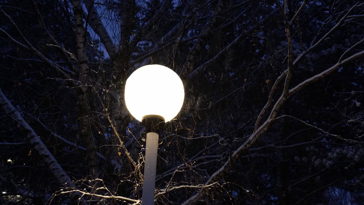 落在路灯背景上的雪花视频素材