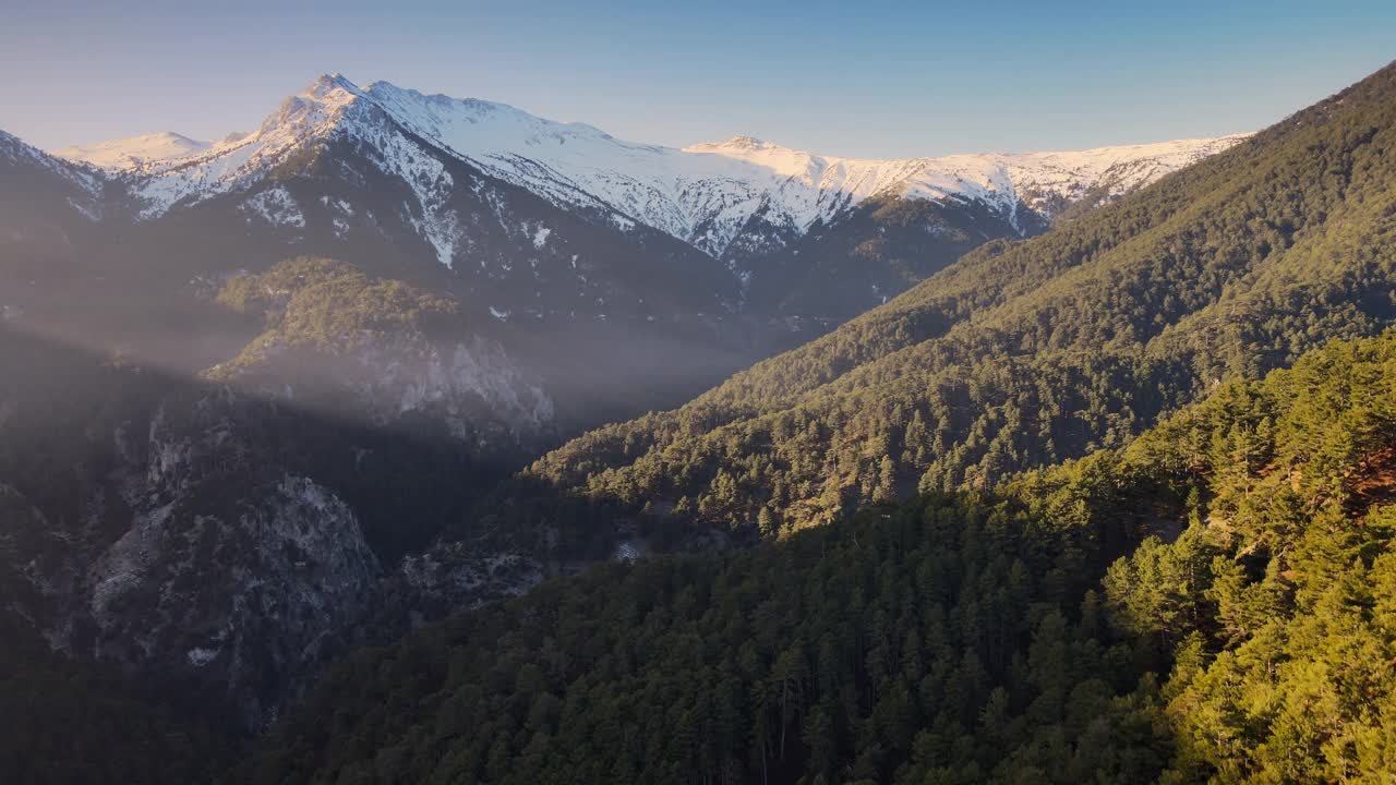 森林和山视频素材