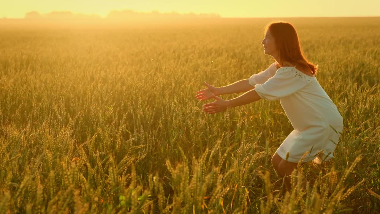 日落时分，一个女人和一个女孩在麦田里收割视频素材