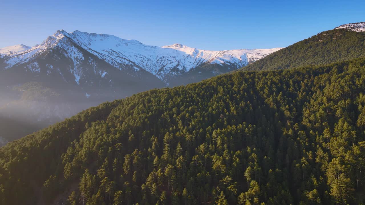 森林和山视频素材