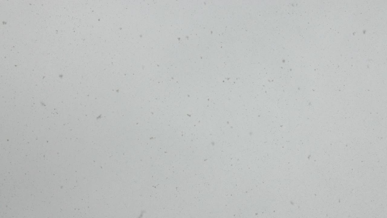 降雪视频素材