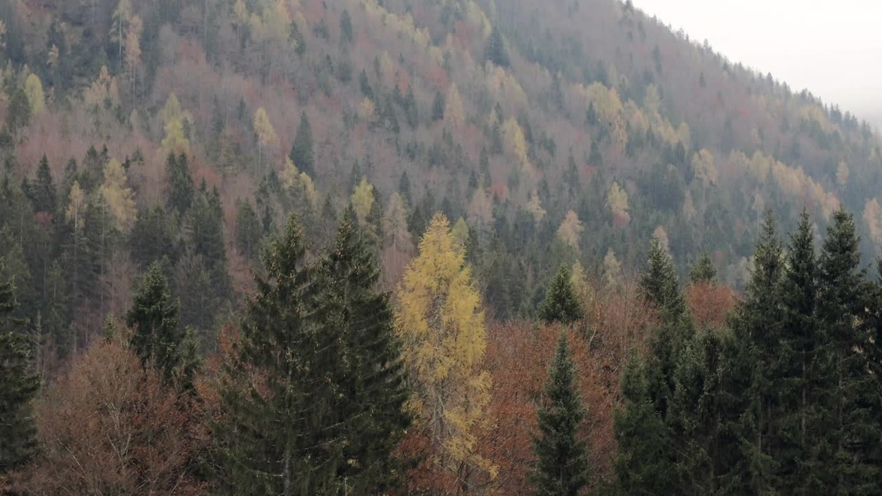 无人机拍摄的柏油路上的摩托车冒险者视频素材