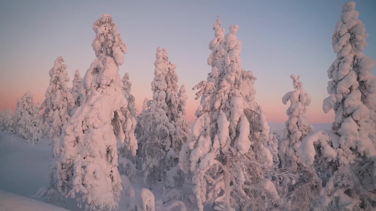 日落时分，芬兰拉普兰的雪野景观视频下载