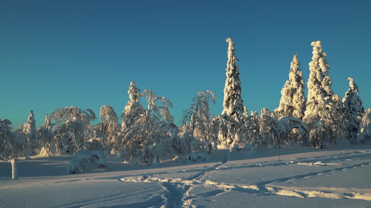 日落时分，芬兰拉普兰的雪域荒野全景视频下载