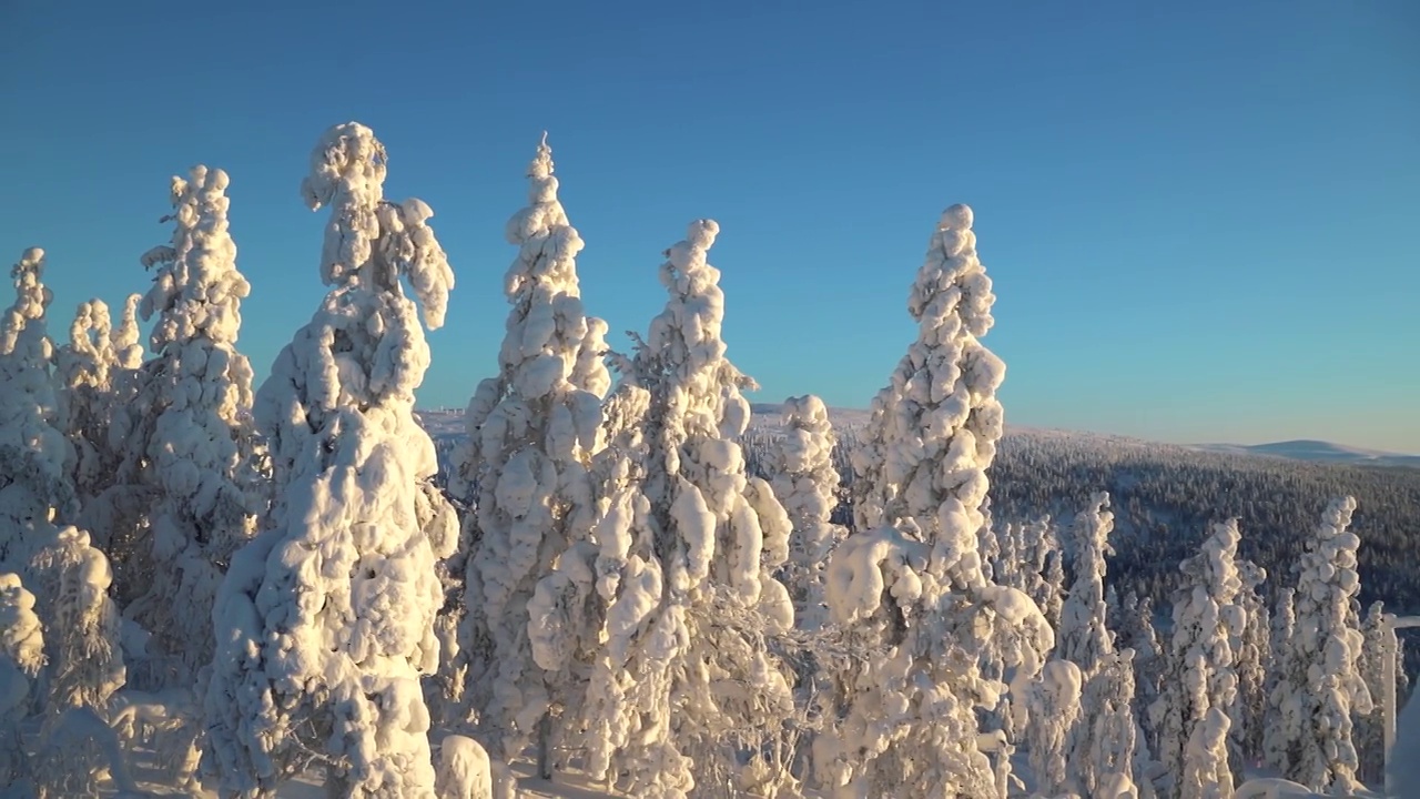 日落时分，芬兰拉普兰的雪域荒野全景视频下载