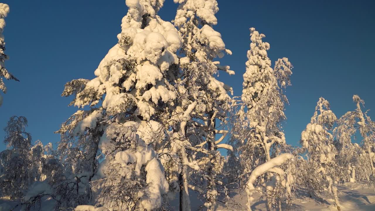 日落时分，芬兰拉普兰的雪域荒野全景视频下载