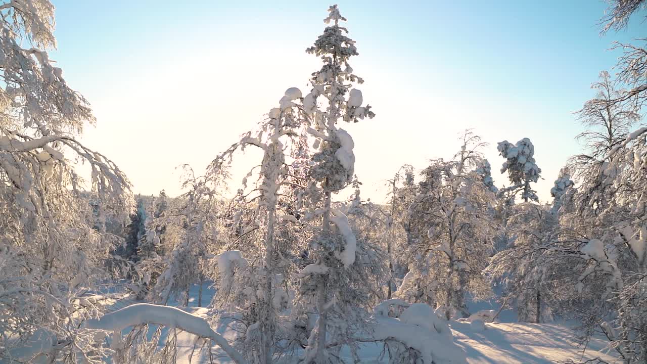 日落时分，芬兰拉普兰的雪野景观视频下载