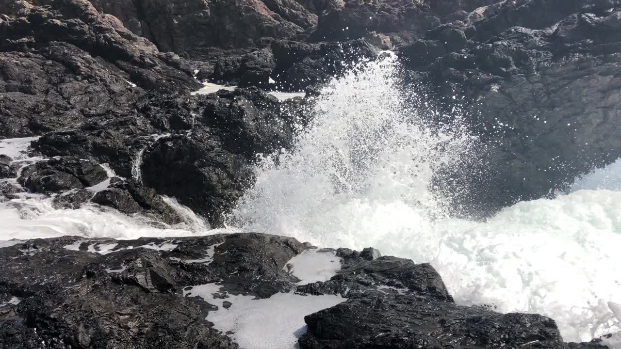 太平洋海浪袭击了环太平洋国家公园保护区附近的海岸视频素材