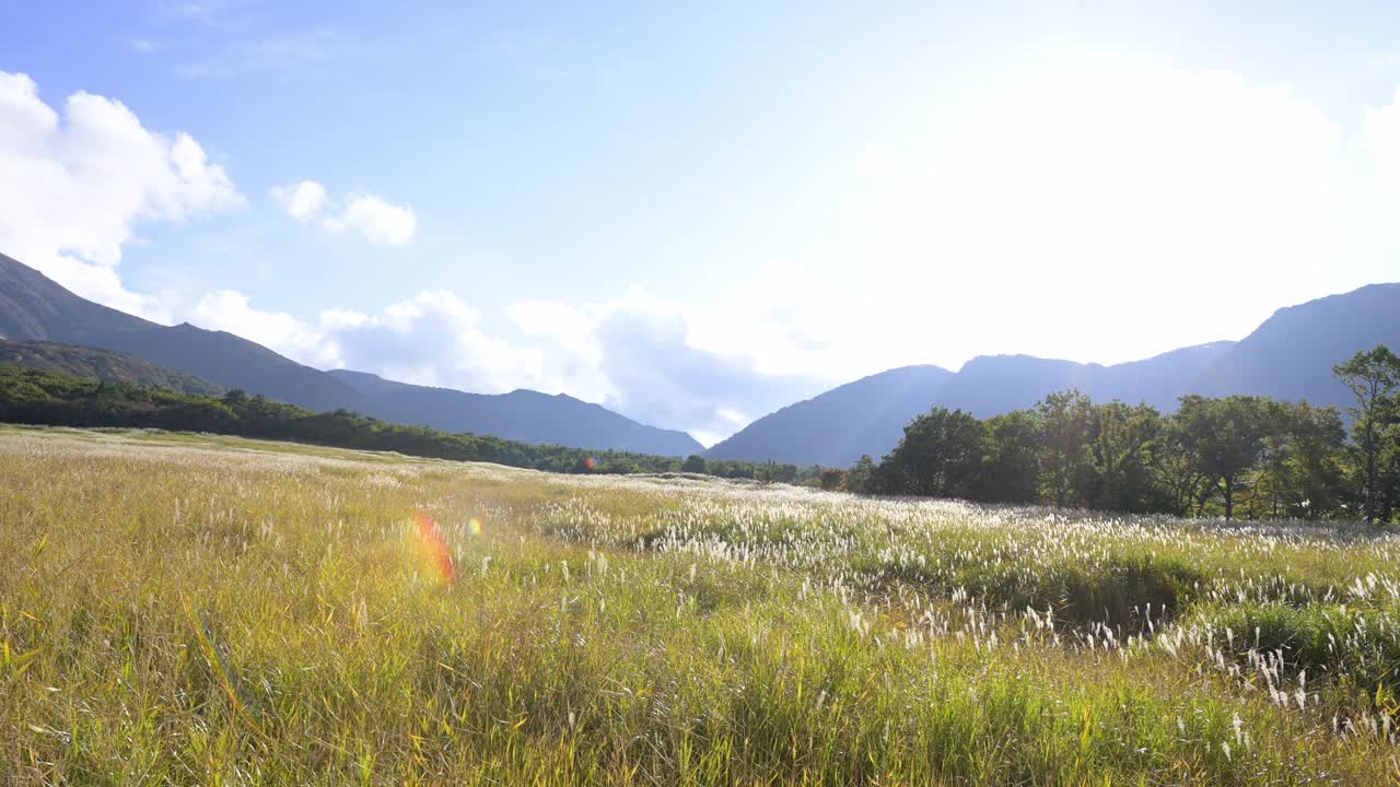 从大分县乔贾巴鲁看久州山。日本九州的秋景。视频素材