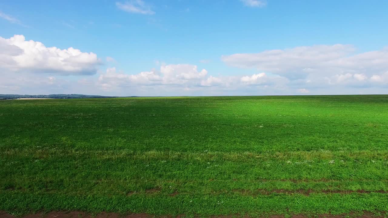 鸟瞰图无限空间的森林平原和汽车行驶在高速公路上。视频素材