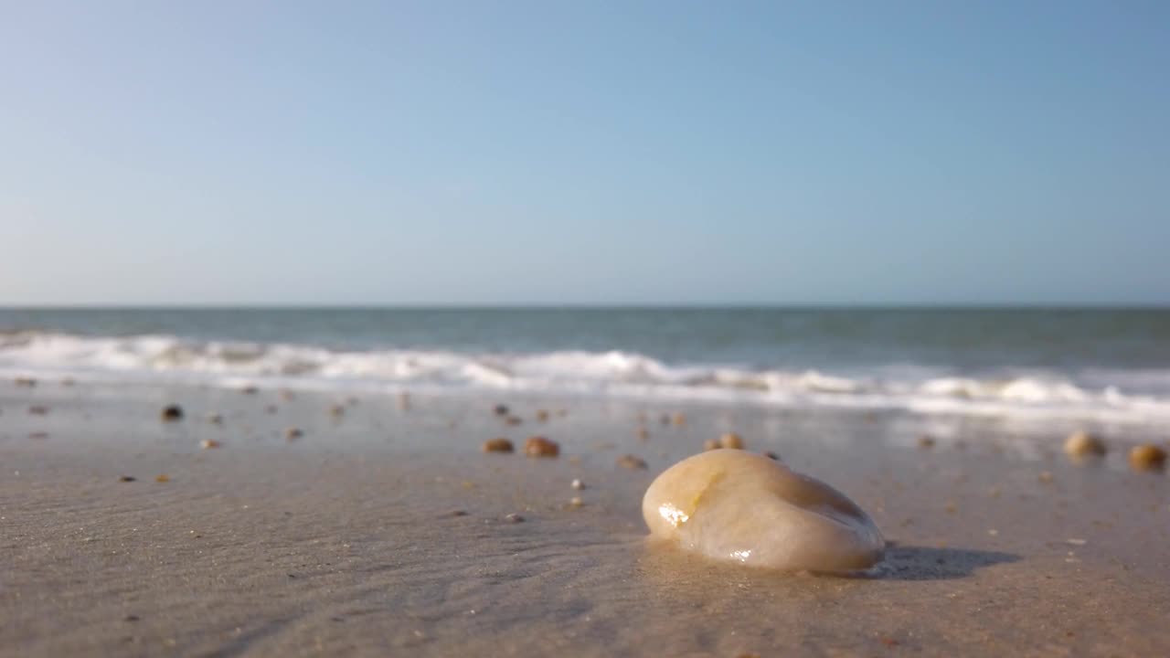 在Cumbuco海滩的沙子和海，Ceará，巴西视频下载