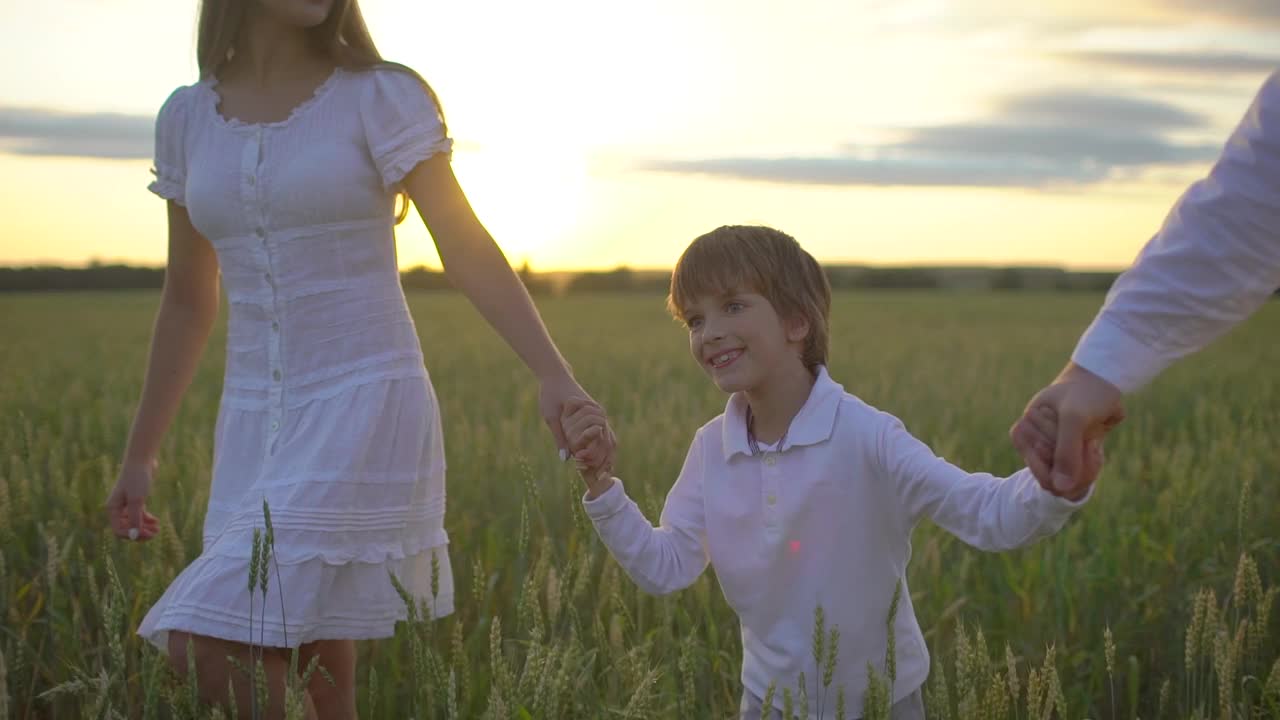 快乐的家庭和小男孩在麦田里散步。母亲父亲儿子孩子玩在夏天的一天，一起享受自然，健康爱旅游夏季日落快乐假期视频素材