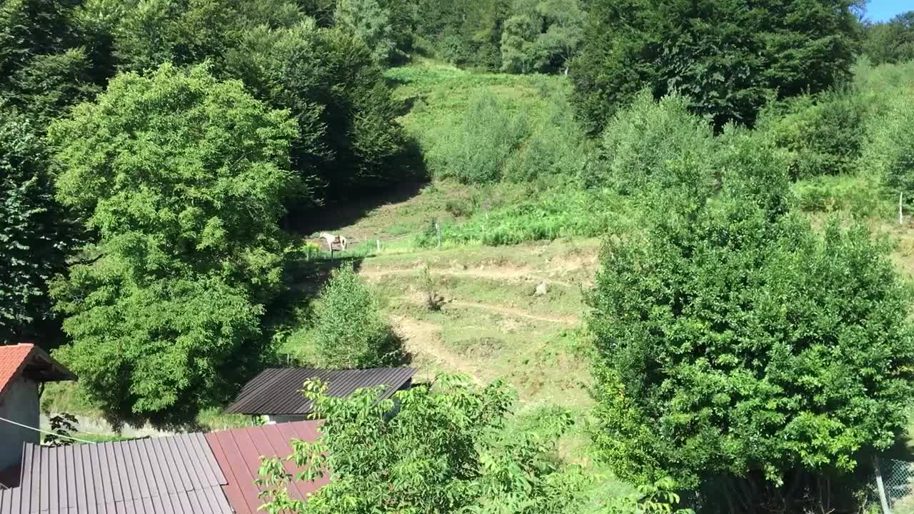 斯特雷萨山区夏季森林的鸟瞰图。意大利视频素材