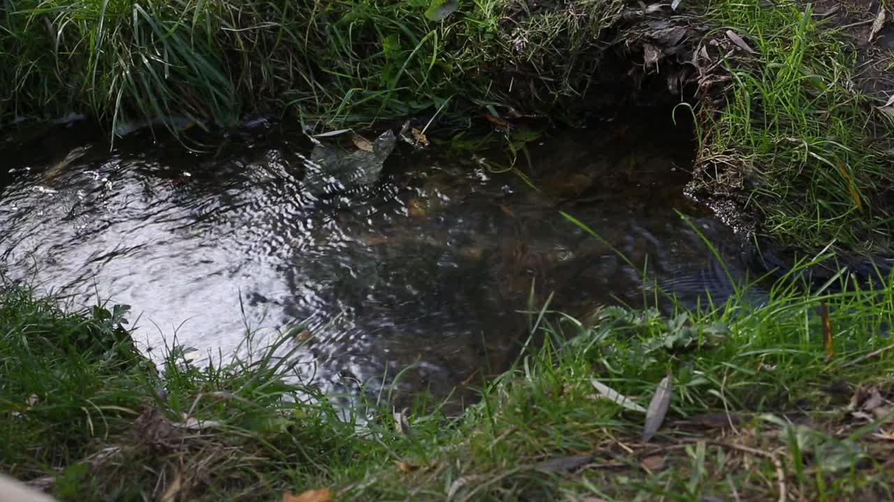 静态的自然背景框架与水流移动视频下载