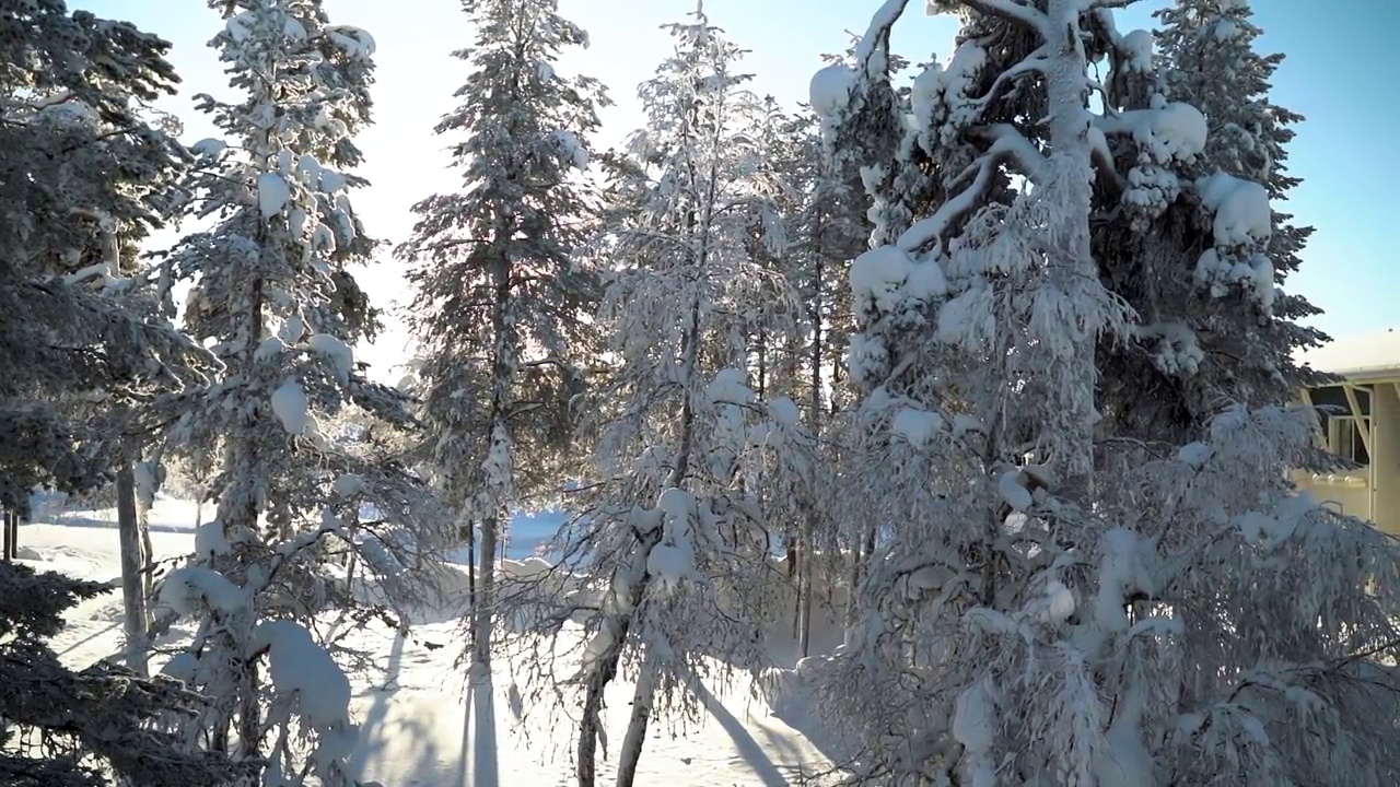 日落时分，芬兰拉普兰的雪域荒野全景视频下载