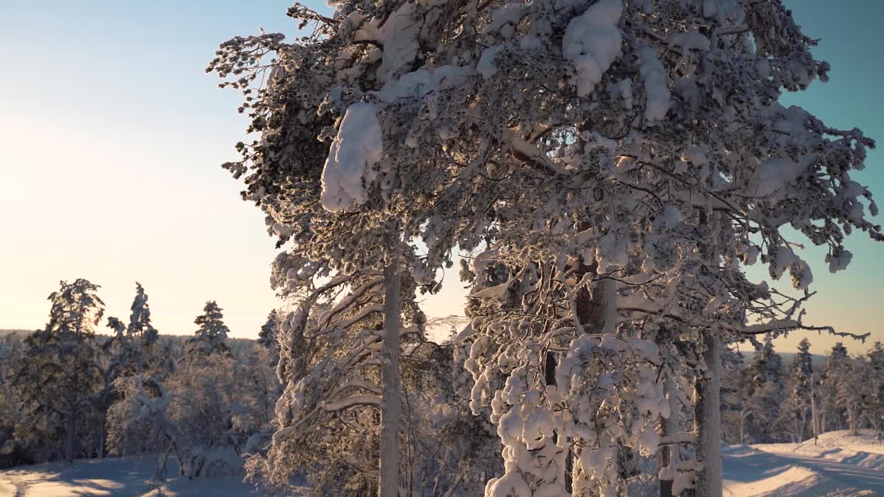 日落时分，芬兰拉普兰的雪域荒野全景视频下载