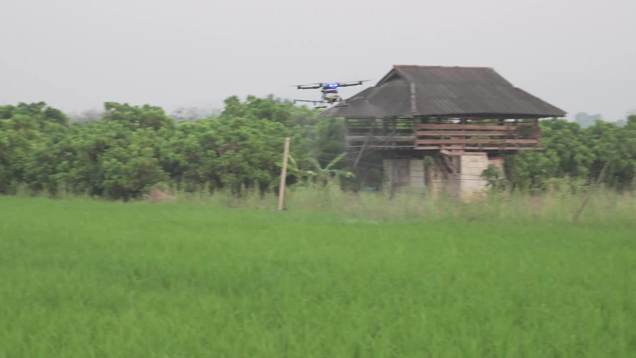 农业无人机在稻田中飞行和喷洒液体肥料或除草剂视频素材