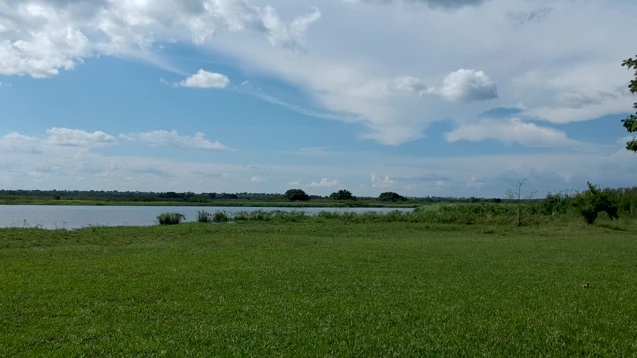 尼罗河岸边的绿草，清澈的蓝天和白云视频素材