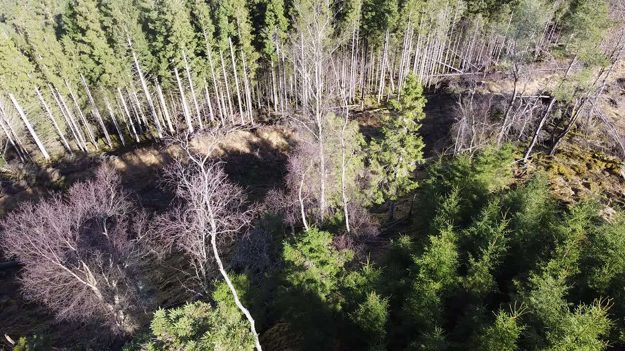 挪威豪斯兰的山脉和峡湾的无人机鸟瞰图视频素材