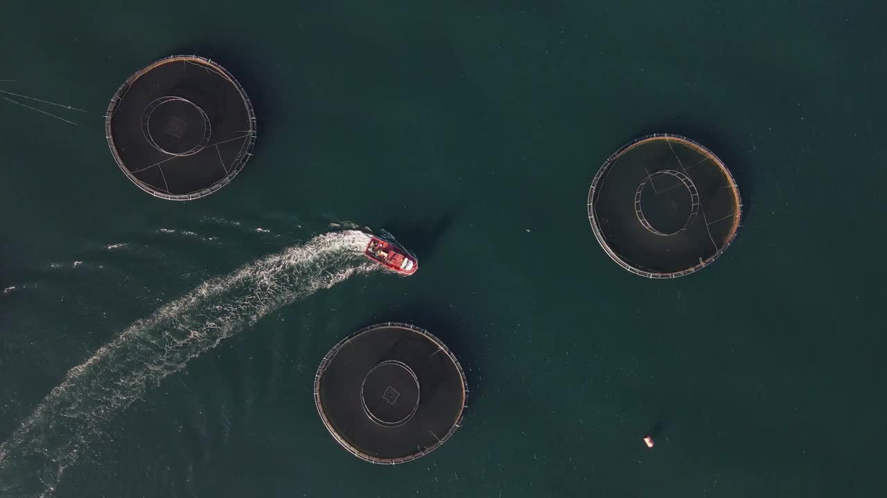 海中的养鱼池视频素材