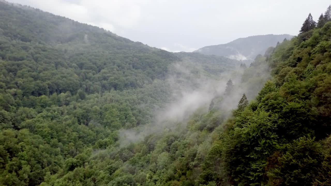 无人机在山上的雾林的观点视频素材