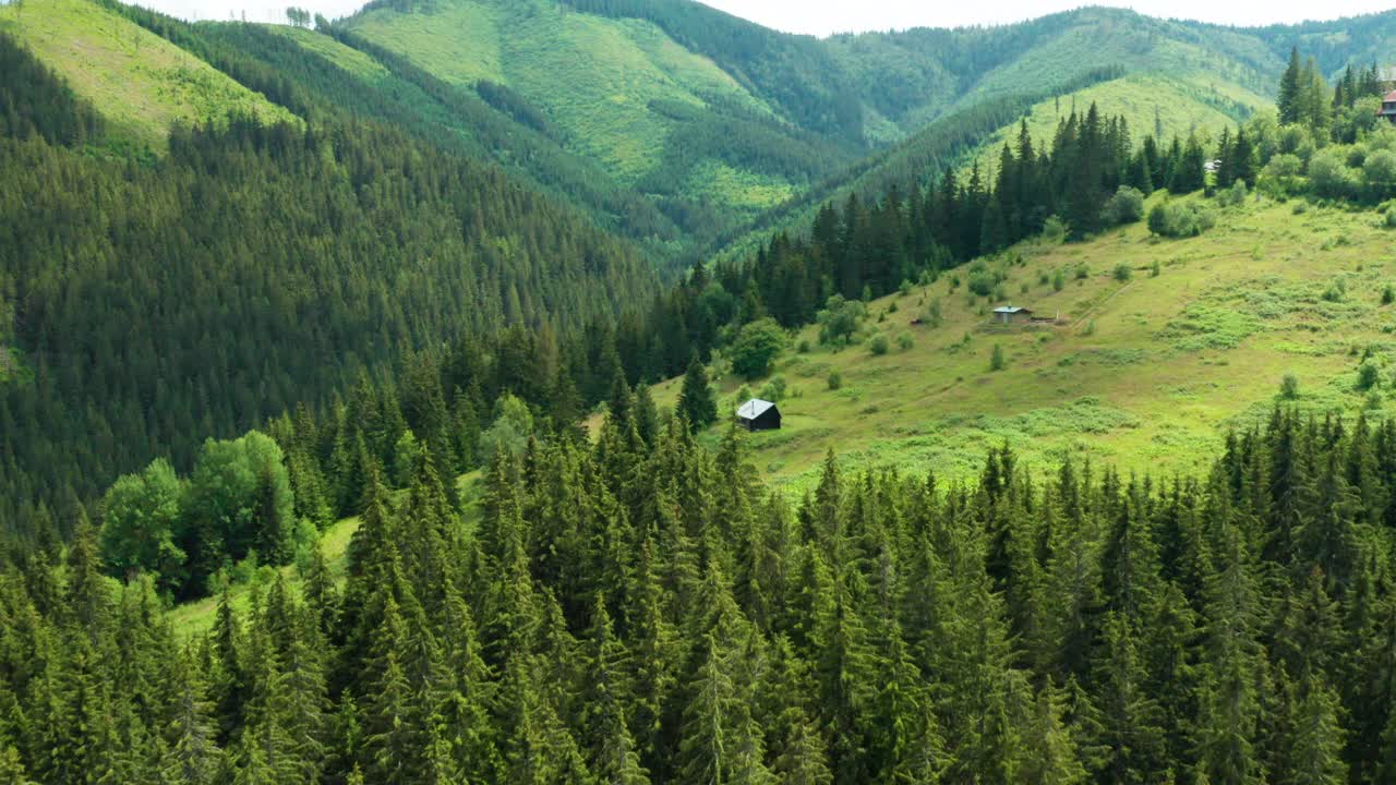 在夏天飞过绿野和松林的山上视频素材