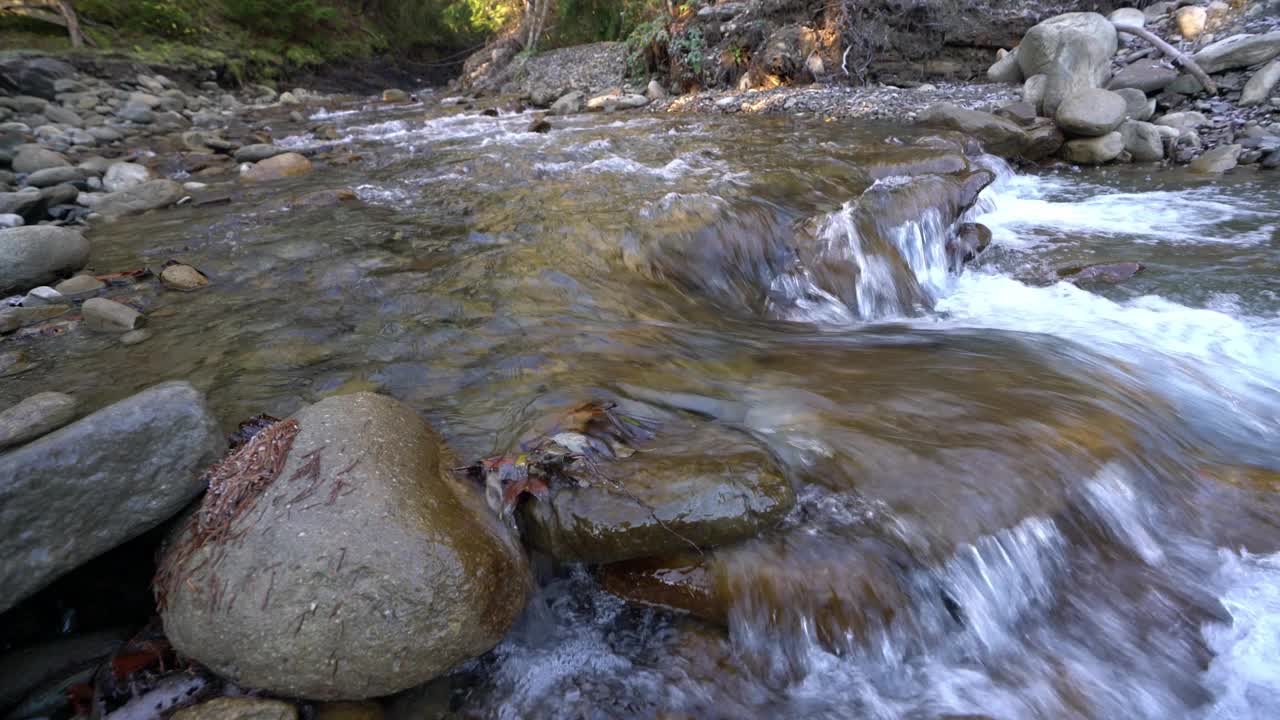 乌克兰风景如画的喀尔巴阡山脉，茂密的森林中潮湿的石头间的一条小溪视频素材