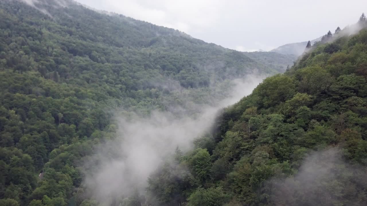 雨后雾林鸟瞰图视频素材