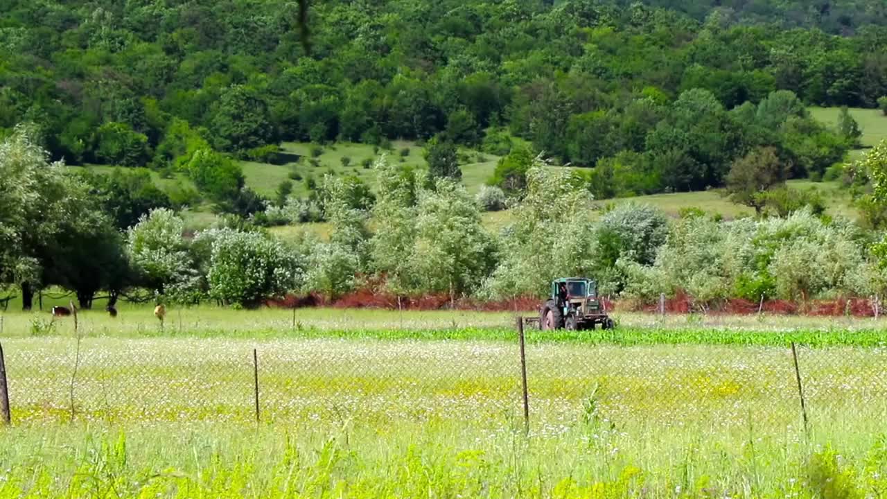 机器在院子和山谷中耕种和工作。农业设备。乔治亚州的播种现场。移动机械和拖拉机。视频素材