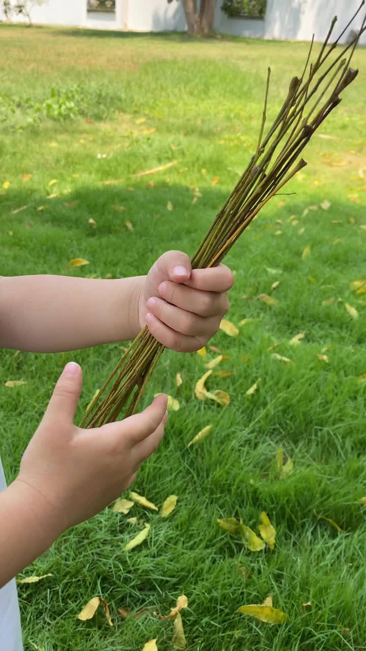 我家里有很多棍子视频素材