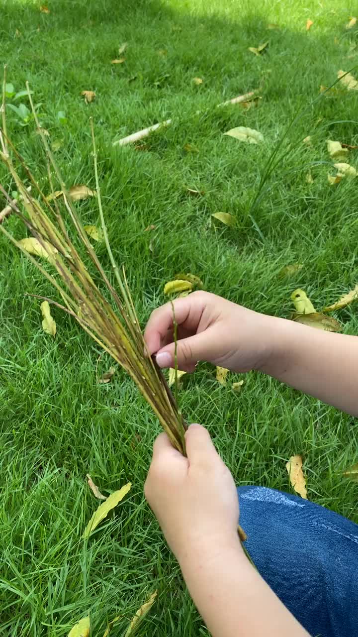 小男孩在草地上玩耍视频素材