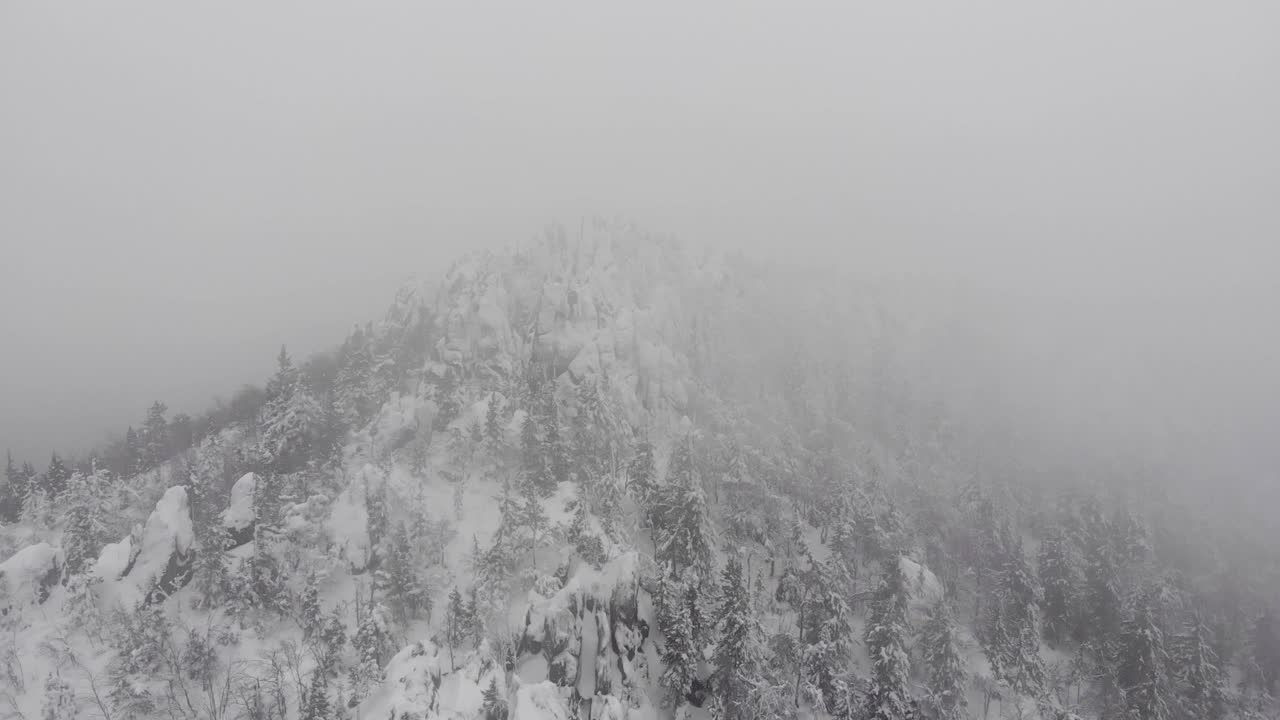 冬季森林山脉风暴冰寒冷的空中树视频素材