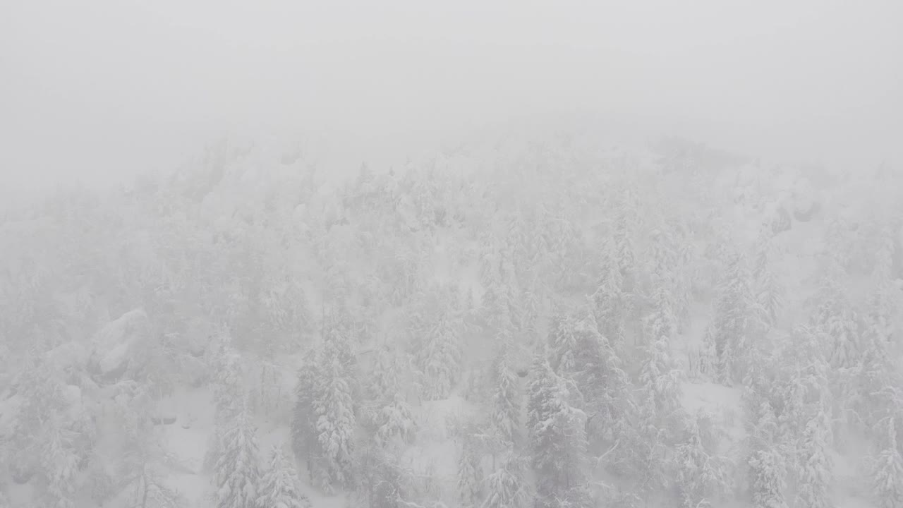 冬季森林山脉风暴冰寒冷的空中树视频素材