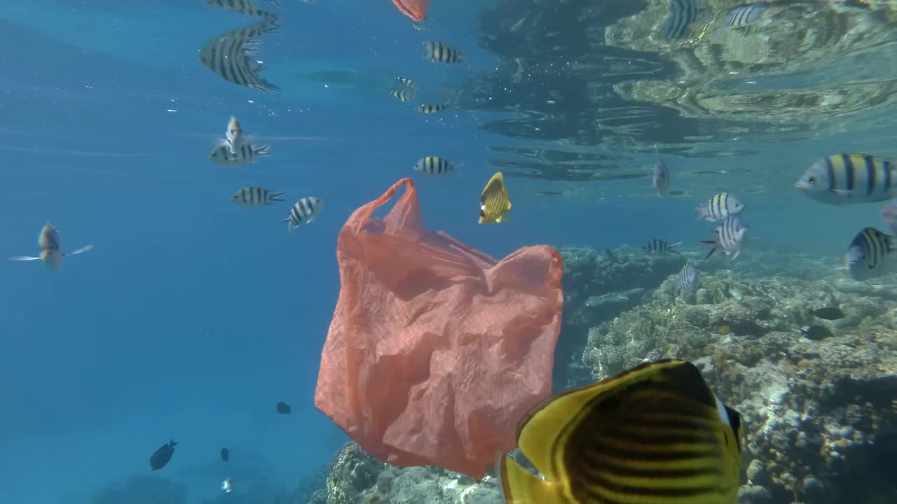 红色的塑料购物袋慢慢地漂浮在水下，背景是一群热带鱼和珊瑚礁。塑料袋放在蓝色的水中。海洋的塑料污染。相机移动向前视频素材