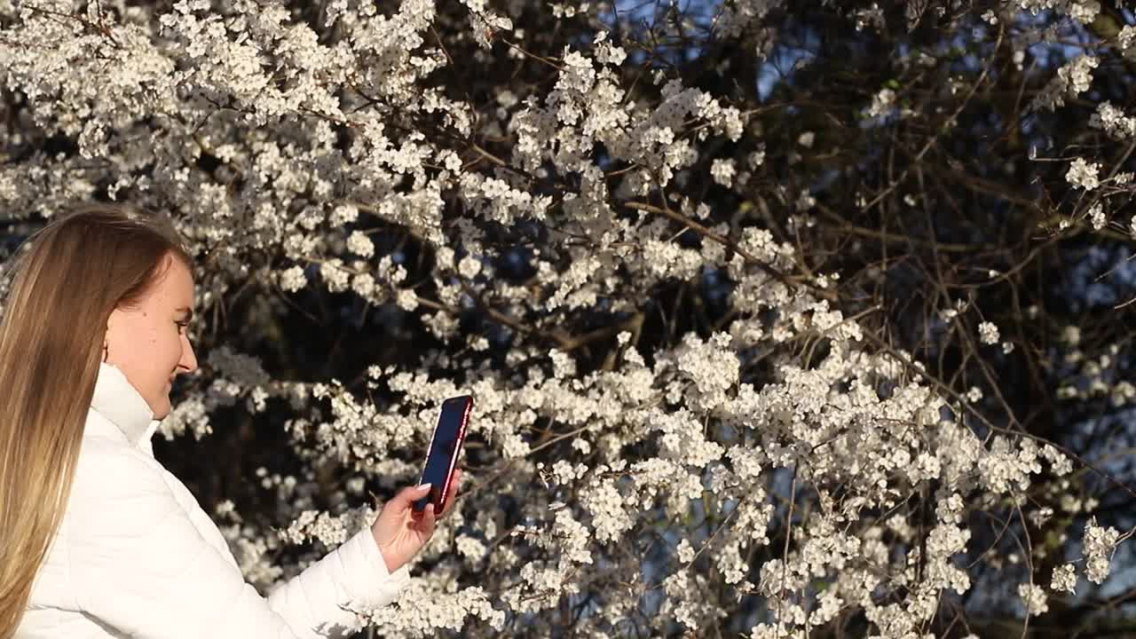 女孩在春天的树上触摸花朵的脸庞。浪漫的风格，女孩带着一朵花在公园里视频素材