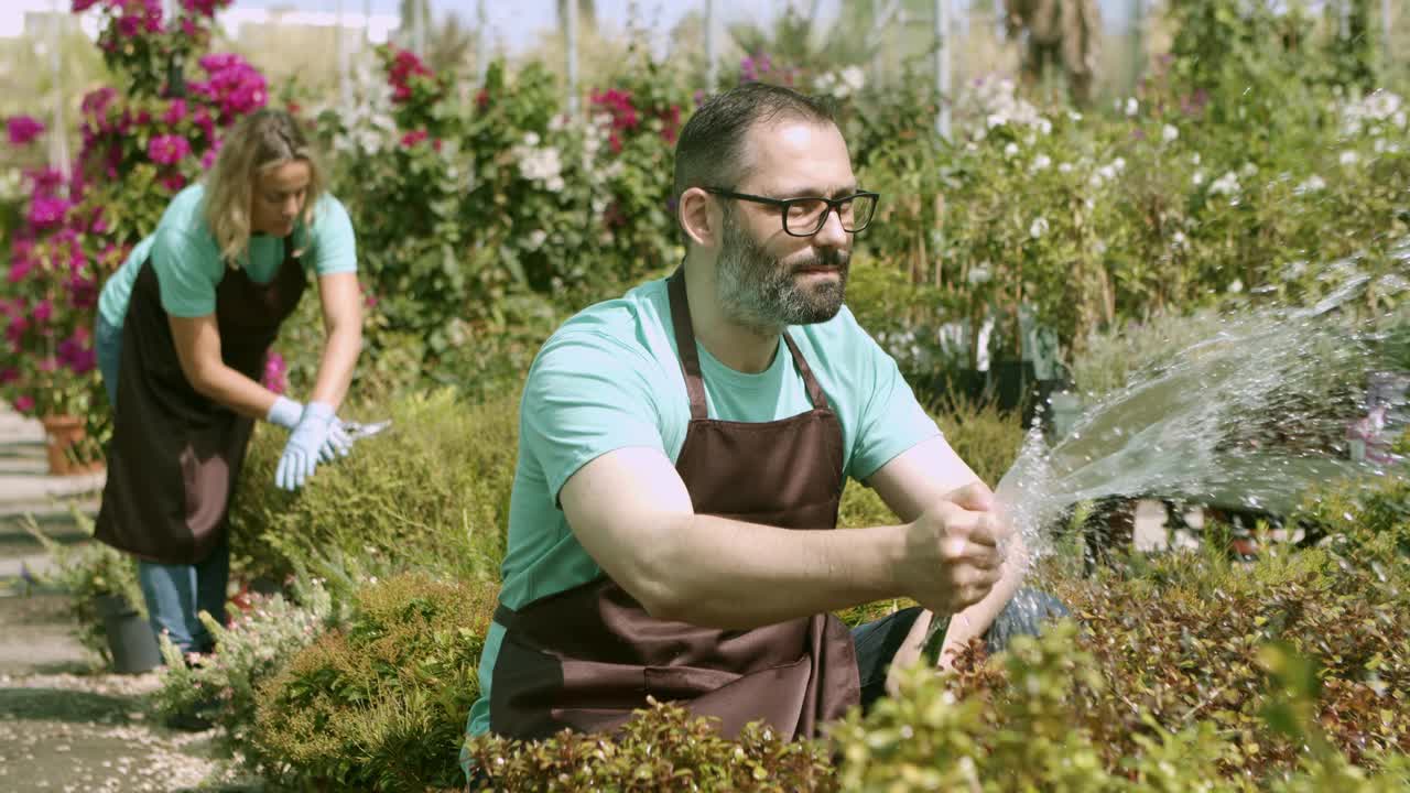 花店老板用软管往植物上浇水视频素材