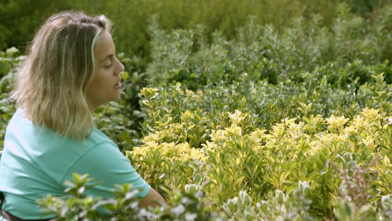 积极的温室园丁检查盆栽植物视频素材